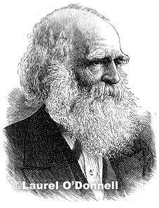 William Cullen Bryant, Evening Post