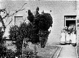 A Group of the Inmates